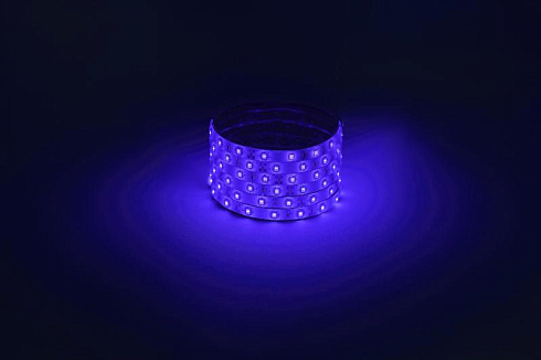 Лента светодиодная  LS2835 -4,8-60-12-B-IP65-1 year-5m, синий, 5м | Б0059900 | ЭРА