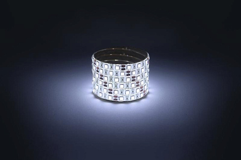 Лента светодиодная  LS5050 -14,4-60-12-6500K-IP65-1 year-5m холодный белый 5м | Б0059914 | ЭРА