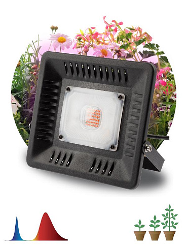Прожектор светодиодный фито для растений красно-синий спектр FITO-50W-LED BLUERED | Б0039033 | ЭРА