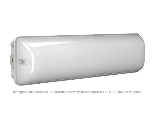 Указатель аварийный светодиодный BS-METEOR-51-L1-INEXI2 1Вт 1ч постоянный накладной IP65 | a15944 | Белый свет