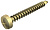 Винт Golden-Sprint 5x60mm (4758 5.0X60) | 3195694 | OBO Bettermann
