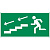 пиктограмма "ПО ЛЕСТНИЦЕ ВНИЗ ВЛЕВО" 400х200мм для аварийно-эвакуационного светильника Vault | V5-EM03-60.013.038 | VARTON