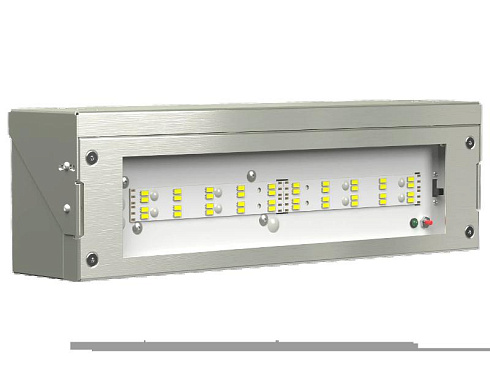 Указатель аварийный светодиодный BS-DBU-10-L2-ELON 10,6Вт централизованный накладной IP66 | a18759 | Белый свет
