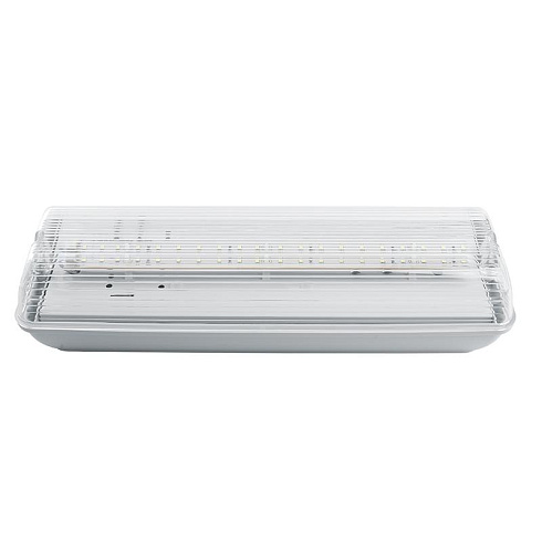 Светильник аварийный, 20 LED AC/DC, белый, EM101 с наклейкой ВЫХОД IP65 3 часа | 41536 | FERON