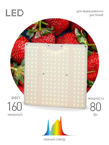 Фитопрожектор для растений светодиодный 80Вт FITO-80W-LED-QB Quantum board | Б0053285 | ЭРА