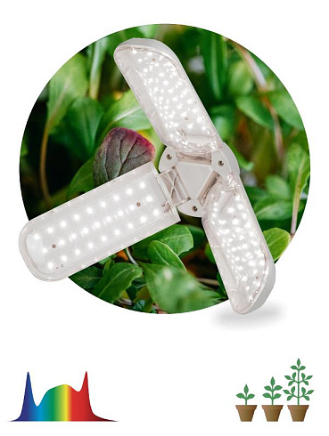 Фитолампа для растений светодиодная FITO-24W-Ra90-E27-FOLD 3-х лепестковая полного спектра 24 Вт Е27 | Б0057285 | ЭРА