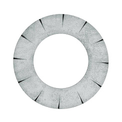 Шайба стопорная М6, нержавеющая сталь AISI 316L | CM220600INOX316L | DKC