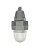 Светильник светодиодный взрывозащищенный GLOBUS LED 25 D120 G Ex | 1388000180 | Световые Технологии