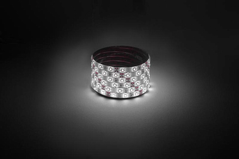 Лента светодиодная  LS2835 -4,8-60-12-4000K-IP65-1 year-5m дневной белый 5м | Б0059901 | ЭРА