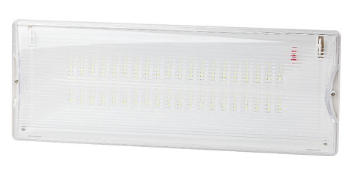 Светильник аварийного освещения непостоянный светодиодный DPA-301-0-65 40LED 3ч IP65 NiCD | Б0044405 | ЭРА