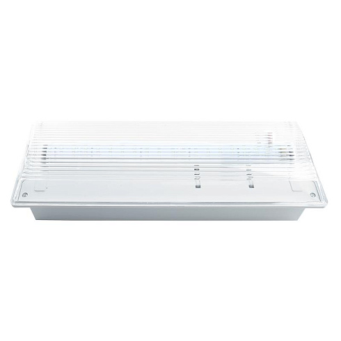 Светильник аварийный, 20 LED AC/DC, белый, EM100 с наклейкой ВЫХОД IP54 3 часа | 41535 | FERON