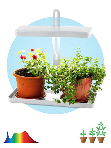 Светильник светодиодный-подставка для цветов белый спектр FITO-20W-QLED-W | Б0039034 | ЭРА