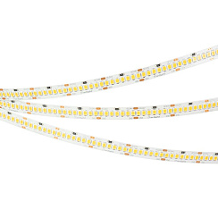 Светодиодная лента RT-A252-10mm 24V White6000 (11 W/m, IP20, 2835, 5m) (Arlight, 11 Вт/м, IP20) | 022648(2) | Arlight