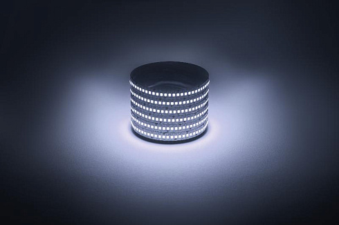 Лента светодиодная  LS2835 -19,2-240-12-6500K-IP20-1 year-5m холодный белый 5м | Б0059908 | ЭРА