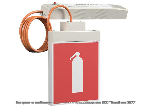 Световой указатель аварийного освещения BS-RADEM-10-S1-24 Gray | a15559 | Белый свет