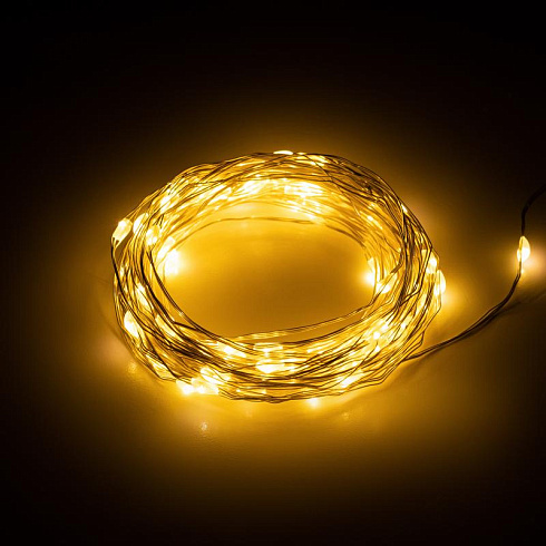 Гирлянда светодиодная серия  Holiday INNR-01Z нить теплый свет 10 м 100 microled IP20 | Б0060441 | Intro