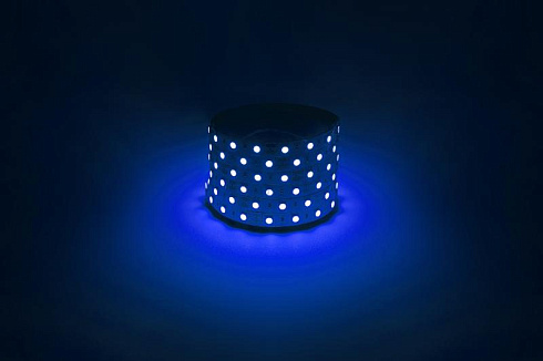 Лента светодиодная  LS5050 -14,4-60-12-B-IP20-1 year-5m синий 5м | Б0059921 | ЭРА