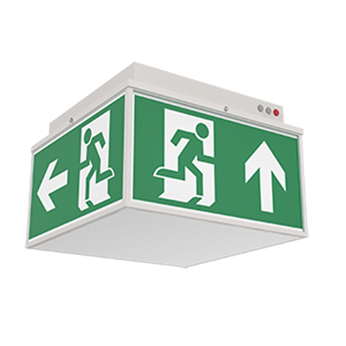 Световой указатель аварийного освещения светодиодный Quad серии Advanced 6W IP20/IP65 3ч Teletest | V1-EM-70432-31A01-2000665 | VARTON