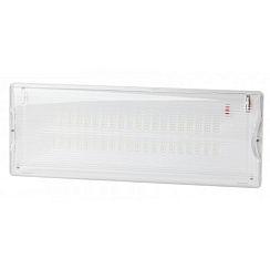 Светильник светодиодный аварийный постоянный 40LED 3ч IP65 NiCD DPA-301-1-65 | Б0051843 | ЭРА