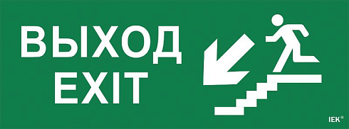 Пиктограмма (наклейка) "Выход/лестница вниз/фигура" ССА 1005 | LPC10-1-35-13-VLVNF | IEK