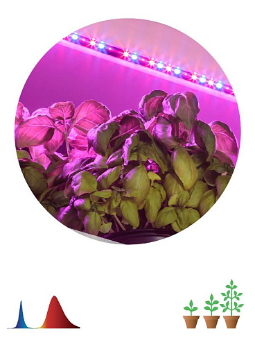 Светодиодная лента для растений FITO-Strip Light-RB-2m красно-синего спектра, 2 м, IP65 | Б0057282 | ЭРА