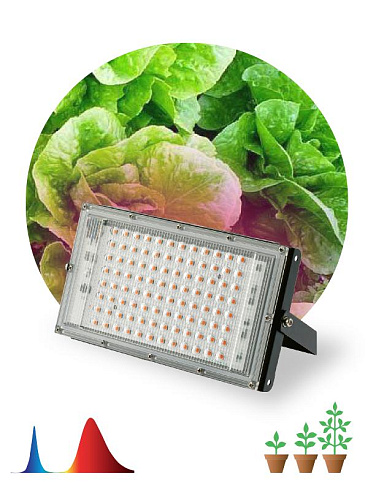 Фитопрожектор для растений светодиодный 80Вт FITO-80W-RB-LED-Y красно-синего спектра | Б0053082 | ЭРА