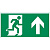 пиктограмма "ФИГУРА / СТРЕЛКА ВВЕРХ" 400х200мм для аварийно-эвакуационного светильника Vault | V5-EM03-60.013.016 | VARTON
