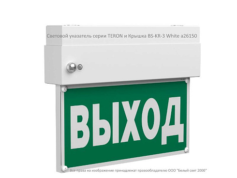 Указатель аварийный светодиодный  BS-TERON-71-S1-INEXI2 6,3Вт 1ч IP65 постоянный накладной | a15594 | Белый свет