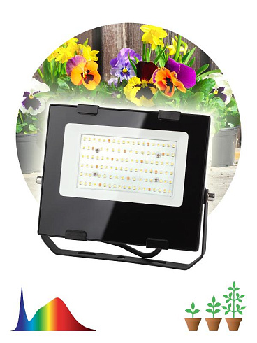 Прожектор светодиодный фито для растений FITO-50W-Ra90-LED для цветения и плодоношения (10/300) | Б0047875 | ЭРА