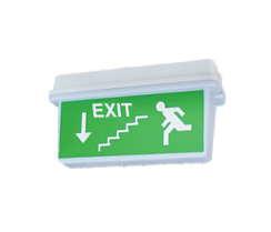 Указатель аварийный ДПО78-3-133 Neptun DT LED | 1178003133 | АСТЗ