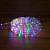 Дюралайт LED фиксинг (2W), 24 LED/м, мульти (RYGB), 20 м | 121-329-20 | NEON-NIGHT