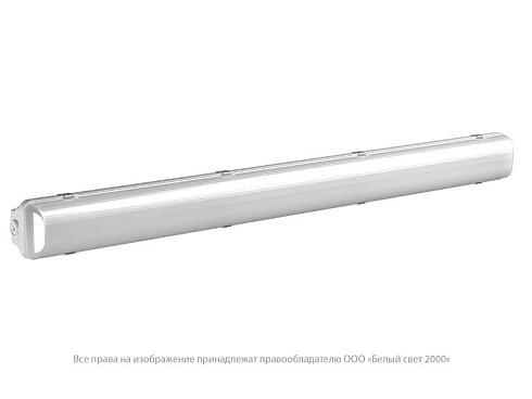 Аварийный светильник BS-DECTON-10-L1-BZ SMC V01 4000K | a26145| Белый свет