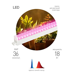 Светильник для растений, фитолампа светодиодная линейная  FITO-18W-PL-LINE 573-GR красно-синего спектра 18 Вт Т5 | Б0066936 | ЭРА