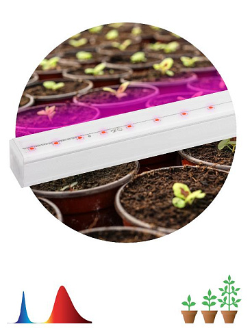 Светильник светодиодный для растений красно-синий спектр ЭРА FITO-9W-Т5-N | Б0045231 | ЭРА