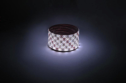 Лента светодиодная 60 диодов IP65 белый цвет LS2835-60LED-IP65-W-eco-5m | Б0035590 | ЭРА