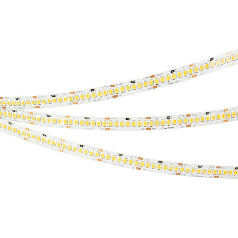 Светодиодная лента RT-A252-10mm 24V White6000 (11 W/m, IP20, 2835, 5m) (Arlight, 11 Вт/м, IP20) | 022648(2) | Arlight