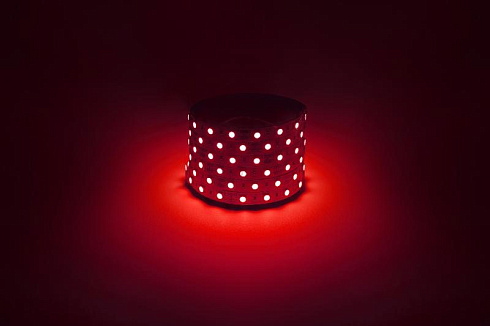 Лента светодиодная  LS5050 -14,4-60-12-R-IP20-1 year-5m красный 5м | Б0059919 | ЭРА