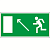 Пиктограмма (Пластина) "Напр. к эвакуационному выходу налево вверх" BL-2010B.E06 для BRIZ, VOLNA, YANTA | a15030 | Белый свет