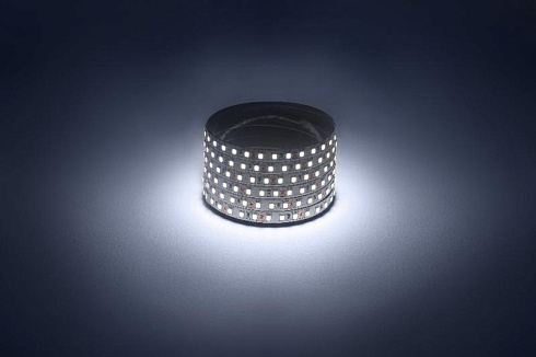 Лента светодиодная  LS2835 -9,6-120-12-6500K-IP20-1 year-50m холодный белый 50м | Б0059925 | ЭРА