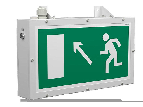 Световой указатель аварийного освещения BS-FLAGMAN-51-S1-INEXI3-MSS3 | a15669 | Белый свет
