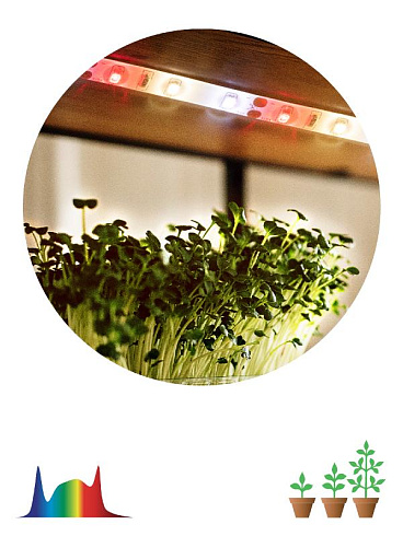 Светодиодная лента для растений FITO-Strip Light-Rа90-3m FITO-Strip Light-Rа90-3m | Б0059881 | ЭРА