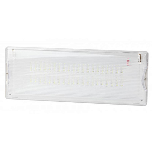 Светильник светодиодный аварийный постоянный 40LED 3ч IP65 NiCD DPA-301-1-65 | Б0051843 | ЭРА