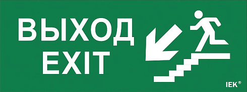Пиктограмма (наклейка) "Выход/лест. вниз/фигура" ДПА IP20/54 | LPC10-1-24-09-VLVNF | IEK