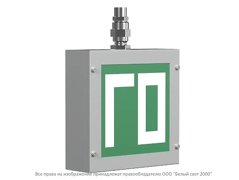 Световой указатель аварийного освещения BS-RADIANT-10-S1 | a16353 | Белый свет