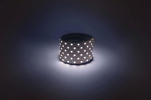 Лента светодиодная  LS5050 -14,4-60-12-6500K-IP20-1 year-5m холодный белый 5м | Б0059910 | ЭРА